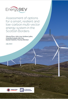 Assessment of options for a smart, resilient and low-carbon multi-vector energy system in the Scottish Borders